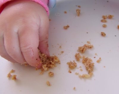 Nourishing Snack for Babies and Toddlers | aDelightfulHome.com