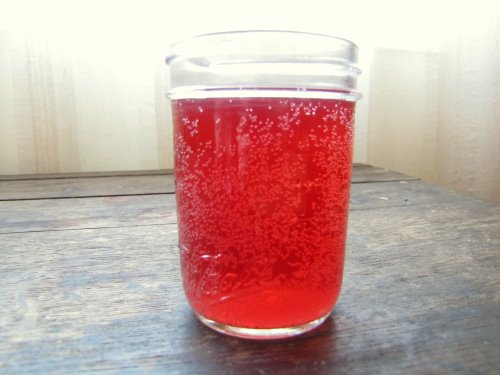 How to Make Water Kefir | aDelightfulHome.com