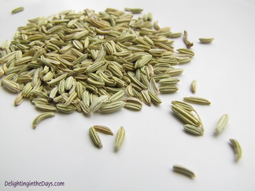 Fennel seeds scattered on a white background.