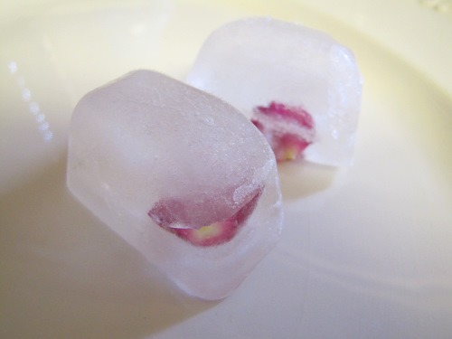 Rose petal ice cubes