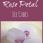 How to Make Rose Petal Ice Cubes