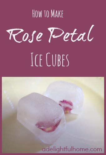 Close up view of ice cubes with rose petals frozen in them. Text overlay says, "How to Make Rose Petal Ice Cubes".