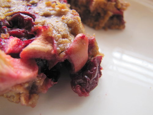 Cranberry, Apple and Walnut Cake | aDelightfulHome.com