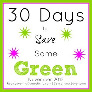 Saving Green Series Update | aDelightfulHome.com