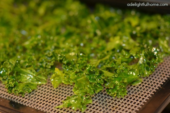 How to Make Kale Chips in a dehydrator