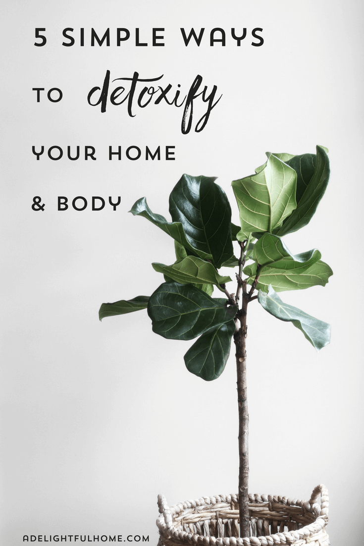 Image of a houseplant. Text overlay says, "Five Simple Ways to Detoxify Your Home & Body".