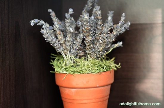 dried lavender and moss