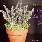 How to Make Dried Lavender Pots