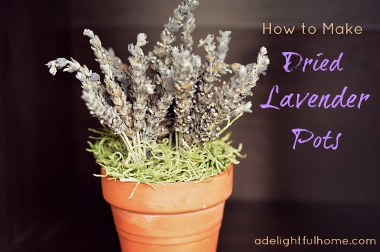 how to make dried lavender pots