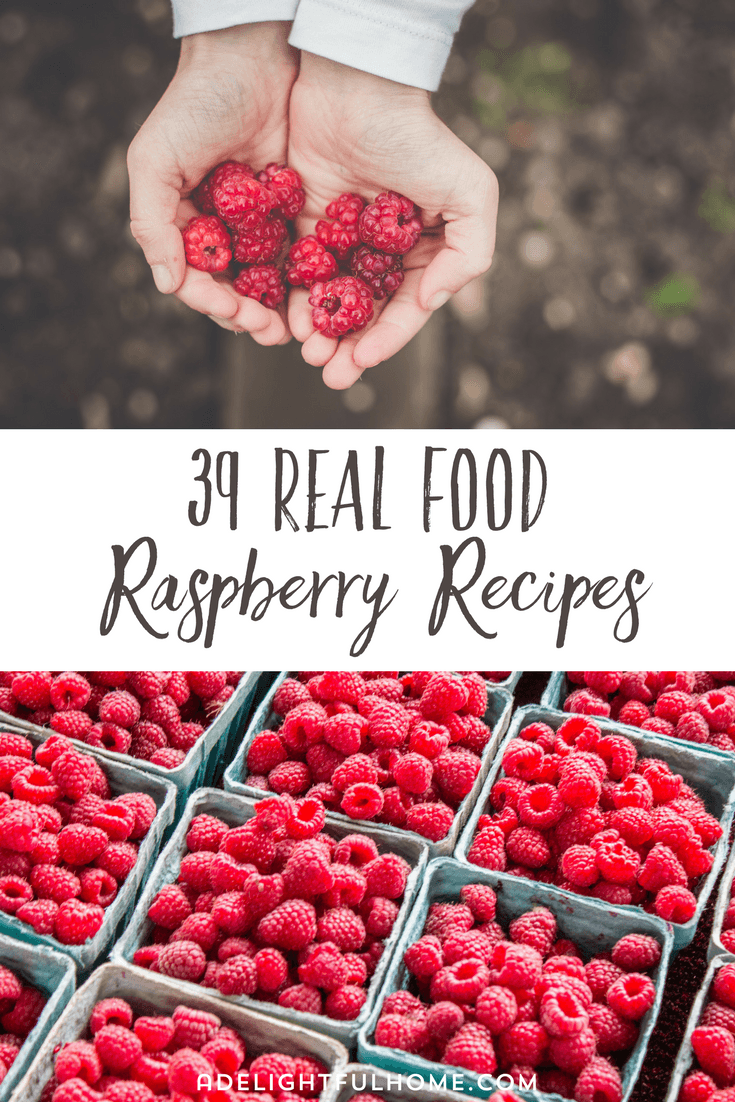 Pinterest Pin with two images. Top image is of cupped hands holding freshly picked raspberries. Bottom image is of several pulp fiber containers filled with raspberries. Text overlay says, "34 Real Food Raspberry Recipes".