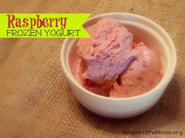 How to Make Raspberry Frozen Yogurt | ADelighfulHome.com