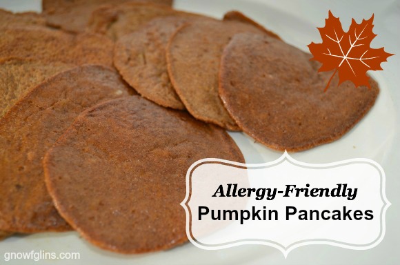 Allergen Friendly Pumpkin Pancakes | Adelightfulhome.com