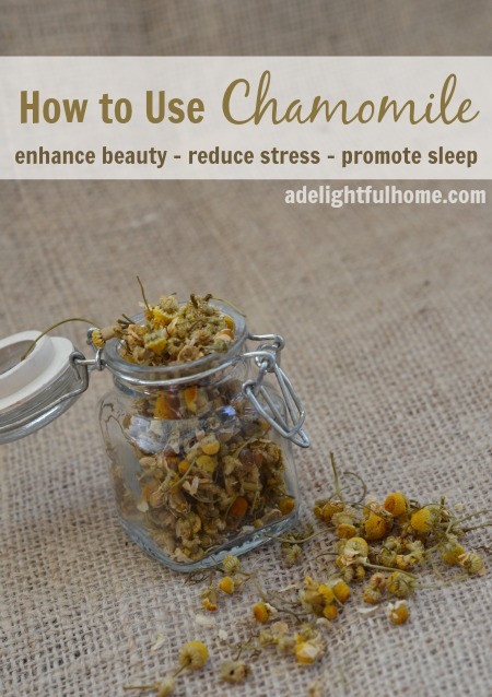 how to use chamomile - promote sleep-enhance beauty-reduce stress