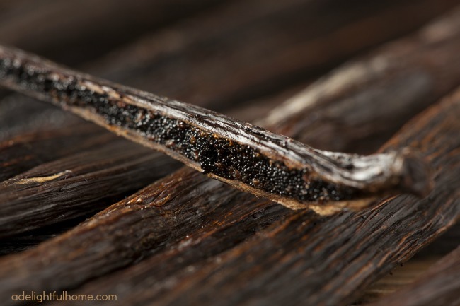 Fresh Brown Organic Vanilla Bean against a background