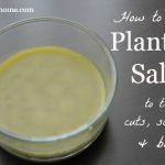 How to Make Plantain Salve