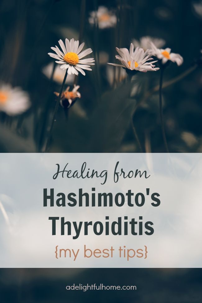 Close up picture of a field of daisies. Text overlay says, "Healing from Hashimoto's Thyroiditis {My Best Tips}".