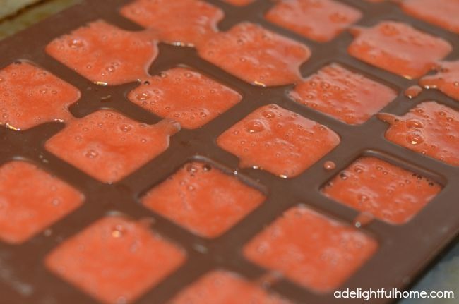 homemade gummies in silicone mold