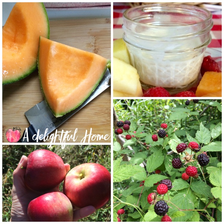 Simple & Healthy Fruit Dip Recipe | aDelightfulHome.com 