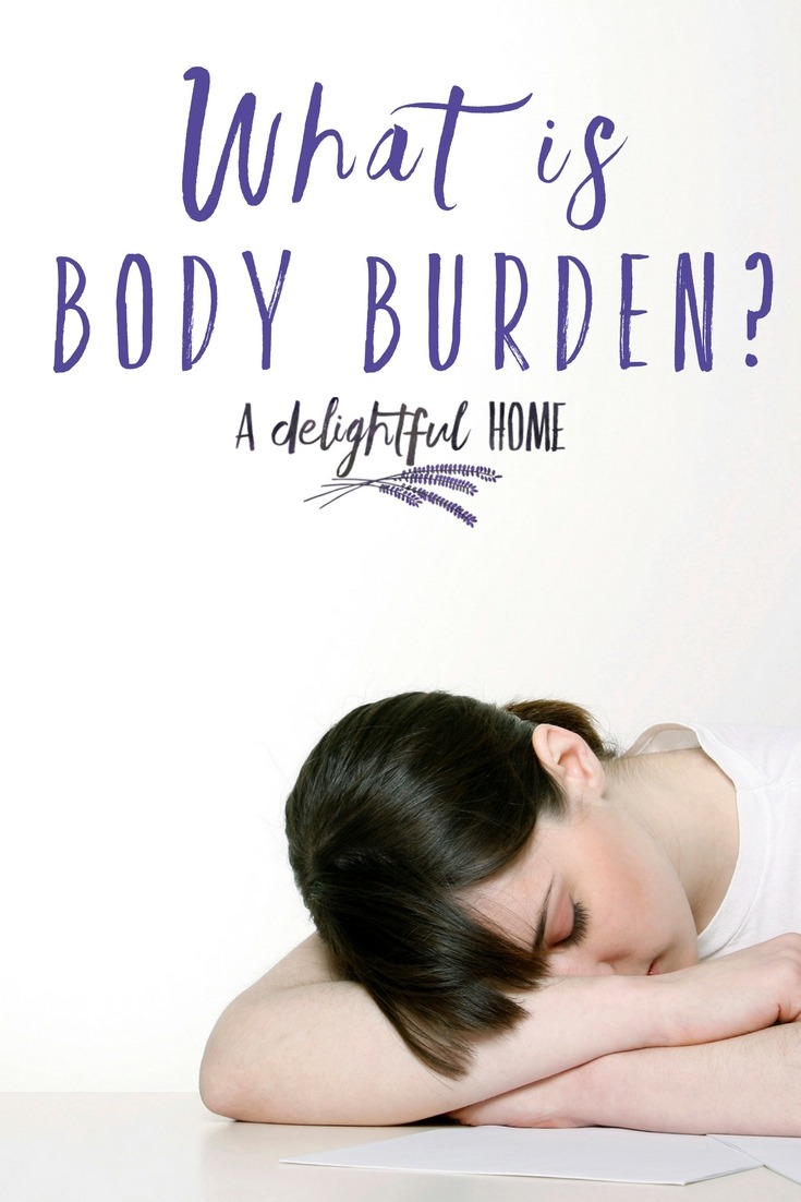 What is Body Burden? | ADelightfulHome.com