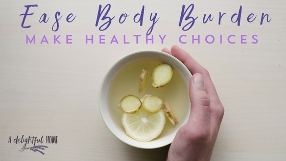 What is Body Burden? | ADelightfulHome.com