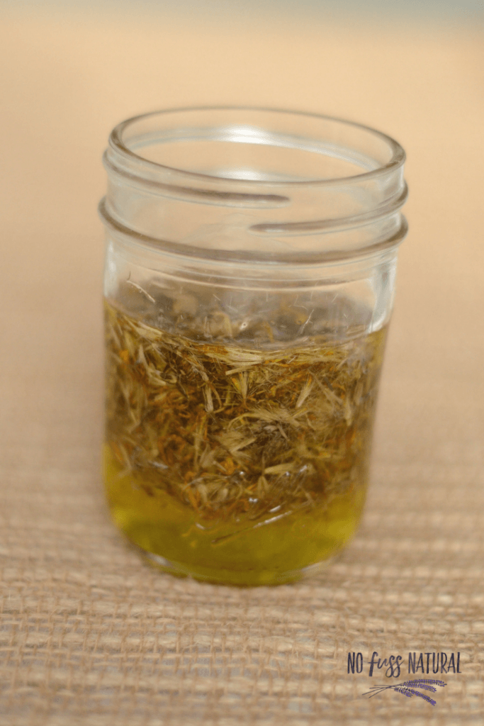 dried arnica and olive oil in canning infusing for arnica salve