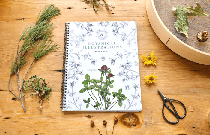 botanical illustrations workbook on wooden table with herbs strewn around it