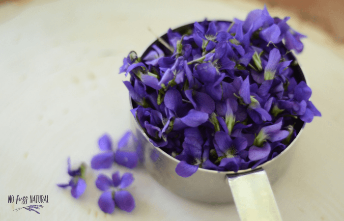 freshly picked violets in measuring cup