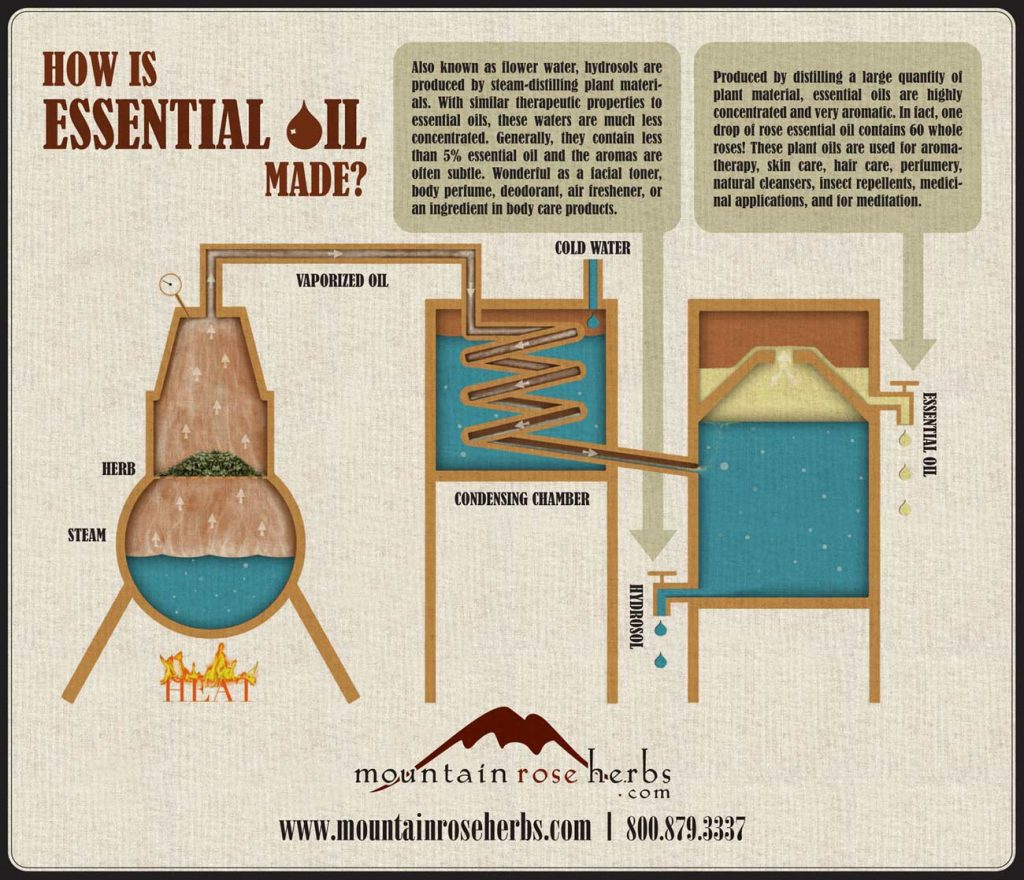 essential oil and hydrosol distillation process