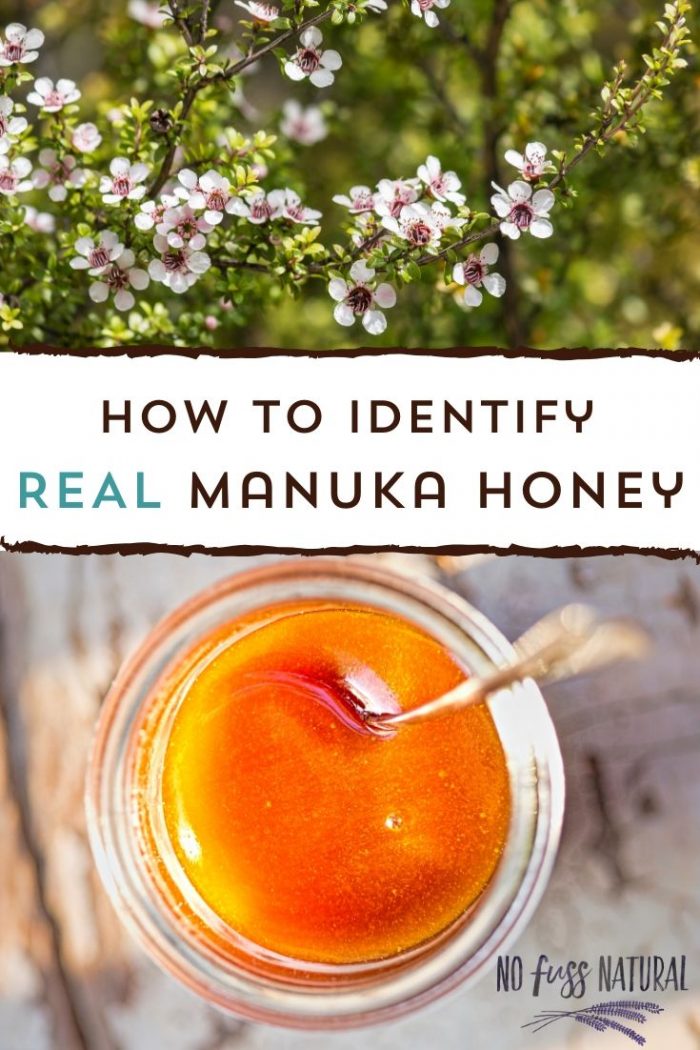 What is Manuka Honey? UMF, MGO, and More - No Fuss Natural
