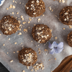 chocolate protein balls with oats