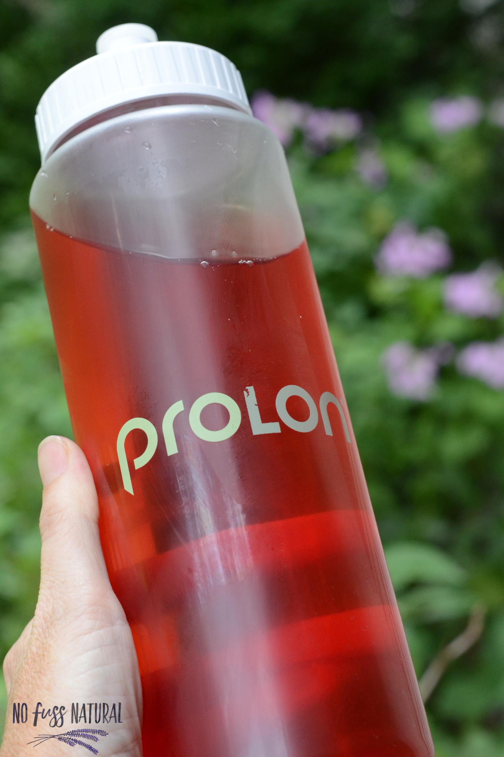 ProLon Fast Mimicking Diet Review No Fuss Natural